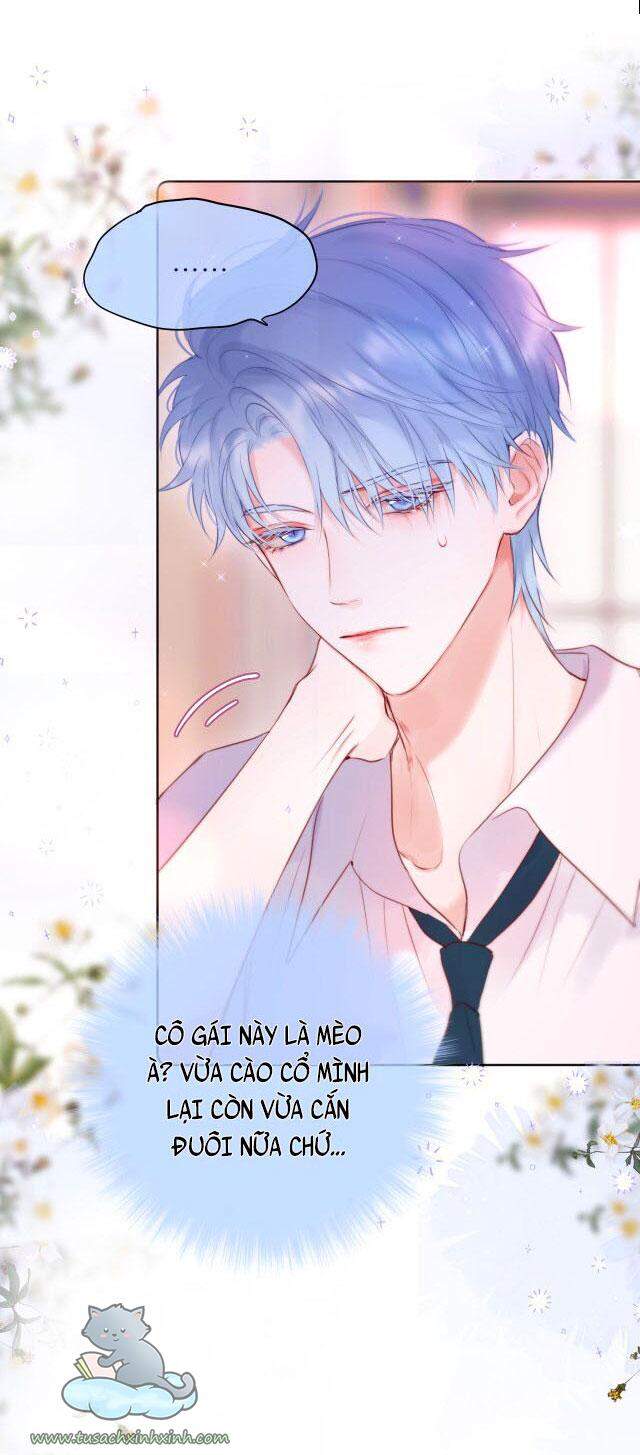 Cạm Bẫy Của Hồ Ly Chapter 18 - 10