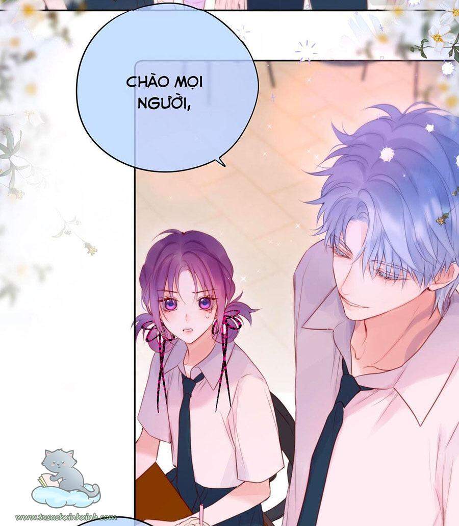 Cạm Bẫy Của Hồ Ly Chapter 19 - 13
