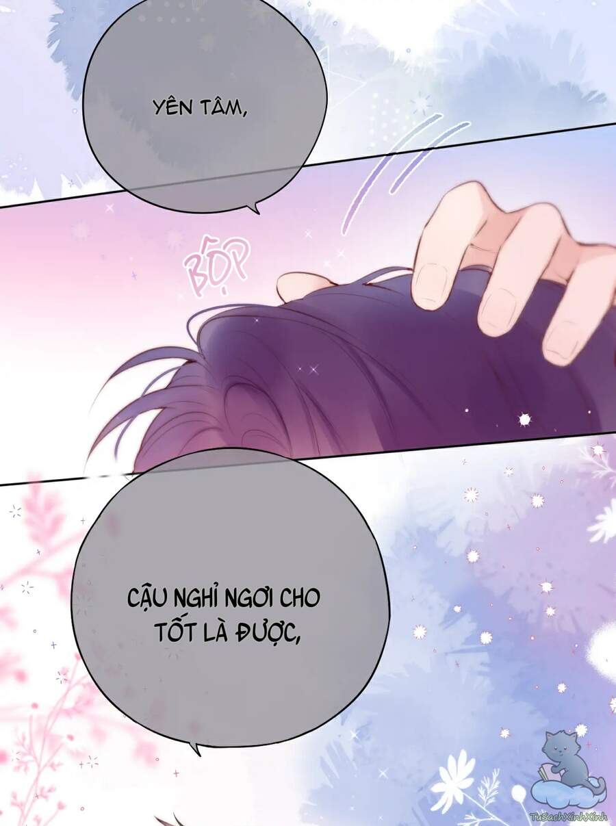 Cạm Bẫy Của Hồ Ly Chapter 7 - 19