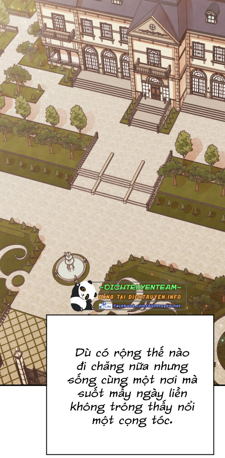 Tiểu Thư Scarlet Chapter 13 - 20