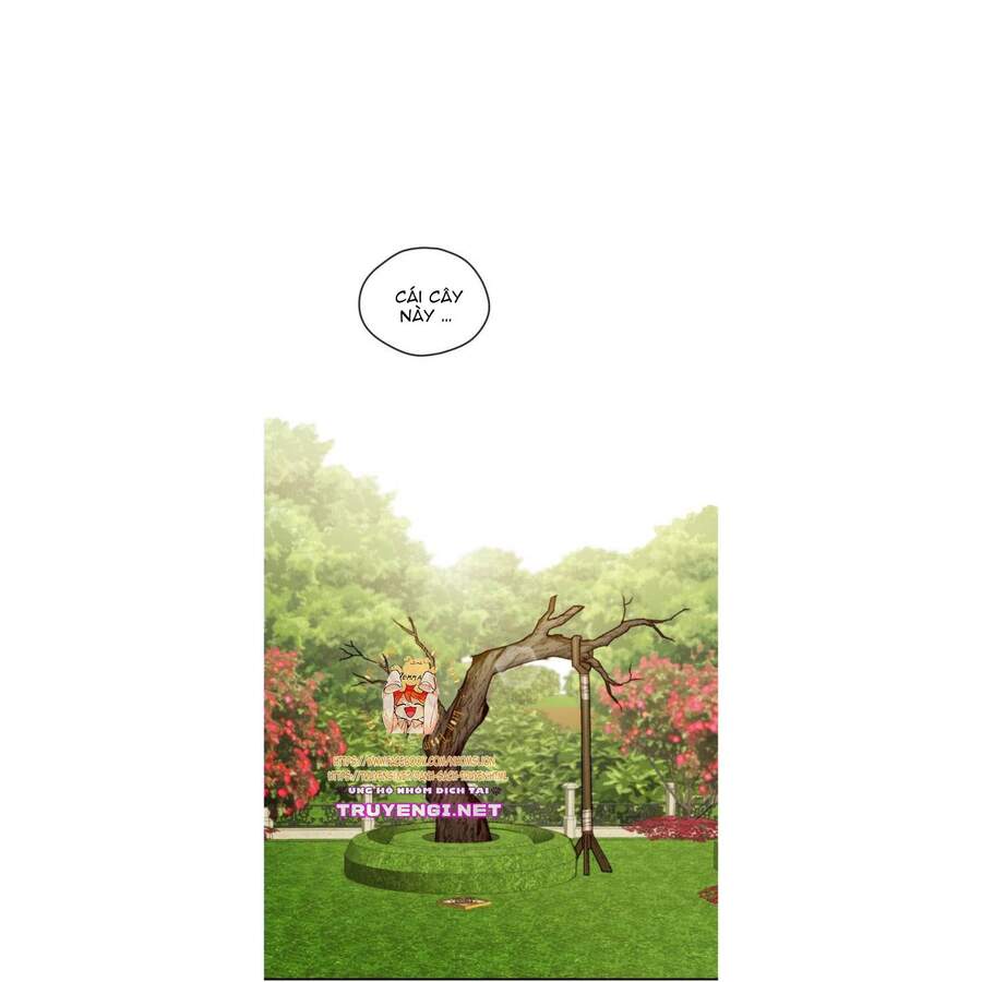 Nữ Chính Muốn Tôi Trở Thành Mẹ Kế Chapter 12 - 2