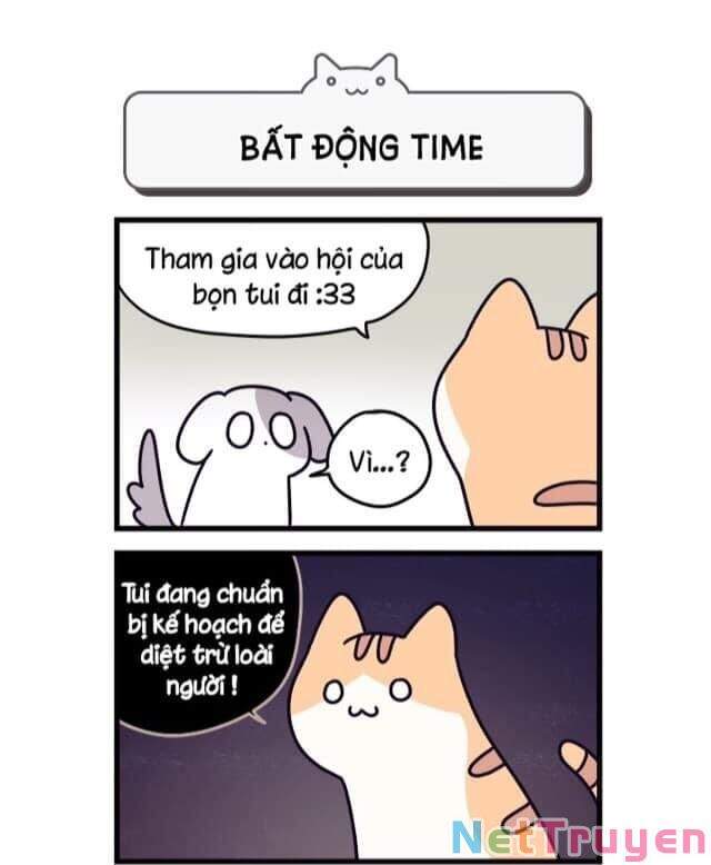 Khi Loài Mèo Làm Bá Chủ Thế Giới Chapter 2 - 3