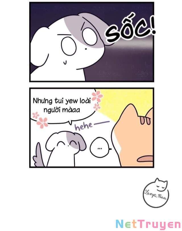 Khi Loài Mèo Làm Bá Chủ Thế Giới Chapter 2 - 4