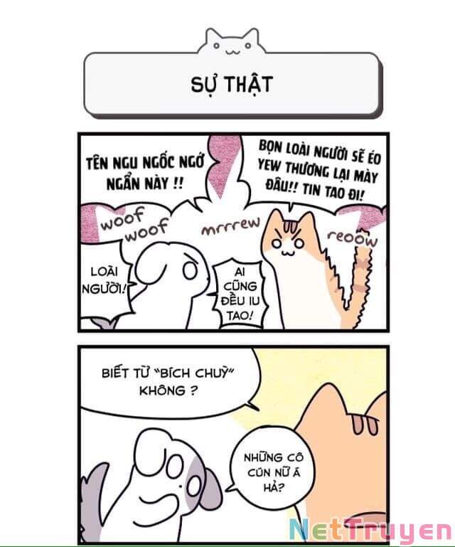 Khi Loài Mèo Làm Bá Chủ Thế Giới Chapter 2 - 5
