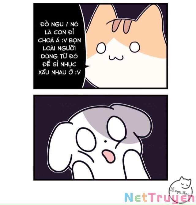 Khi Loài Mèo Làm Bá Chủ Thế Giới Chapter 2 - 6