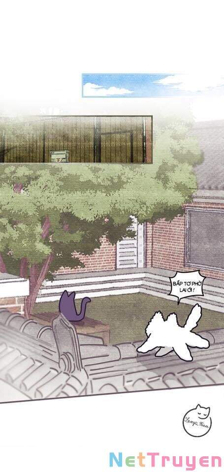 Khi Loài Mèo Làm Bá Chủ Thế Giới Chapter 2 - 7