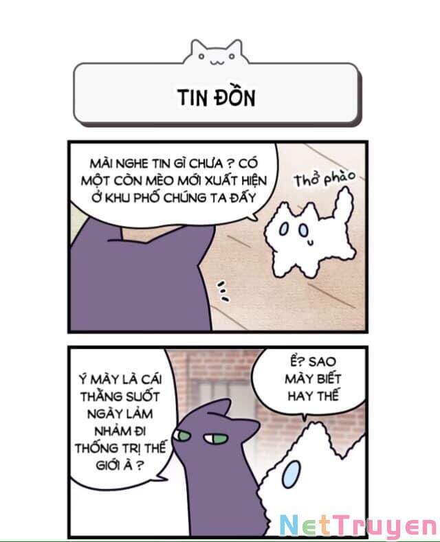 Khi Loài Mèo Làm Bá Chủ Thế Giới Chapter 2 - 8