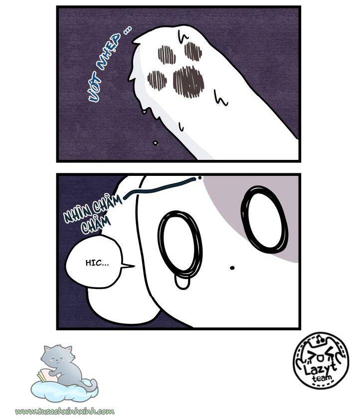 Khi Loài Mèo Làm Bá Chủ Thế Giới Chapter 8 - 11