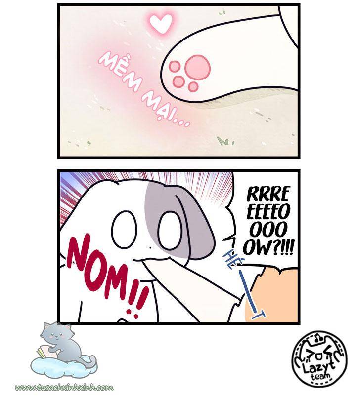 Khi Loài Mèo Làm Bá Chủ Thế Giới Chapter 8 - 7
