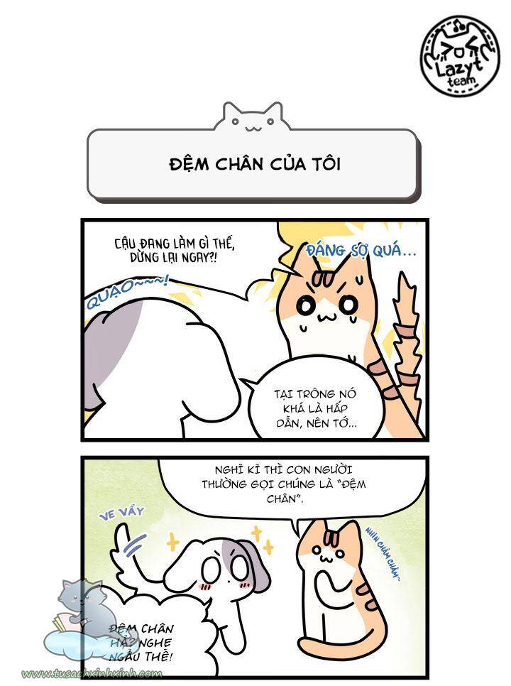 Khi Loài Mèo Làm Bá Chủ Thế Giới Chapter 8 - 8