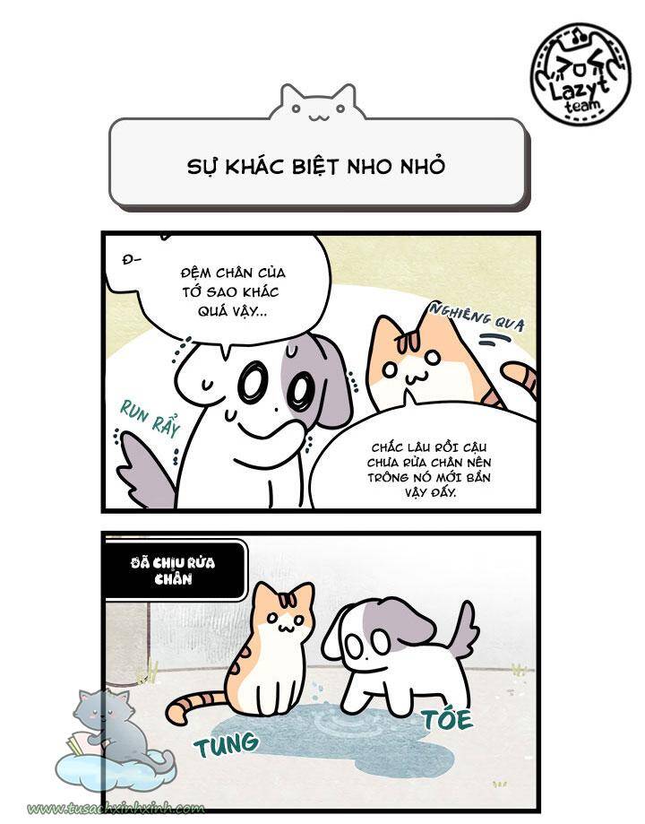 Khi Loài Mèo Làm Bá Chủ Thế Giới Chapter 8 - 10