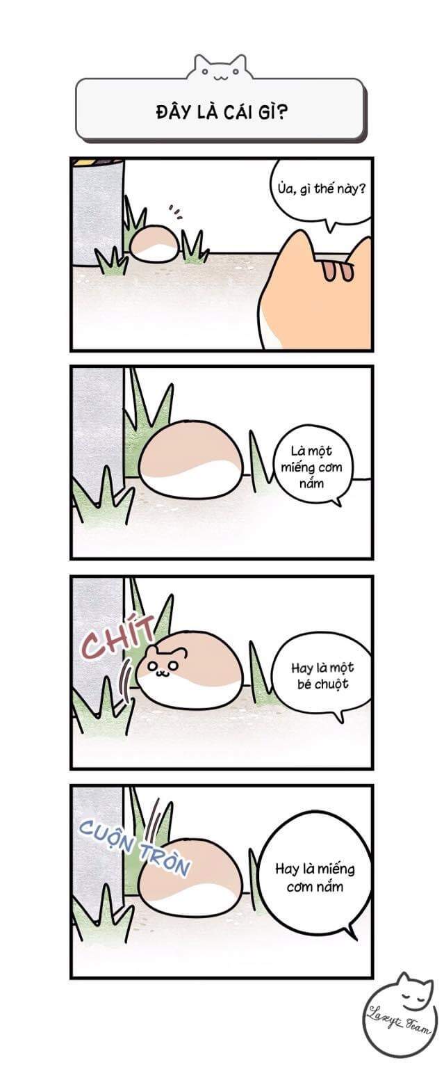 Khi Loài Mèo Làm Bá Chủ Thế Giới Chapter 1 - 4