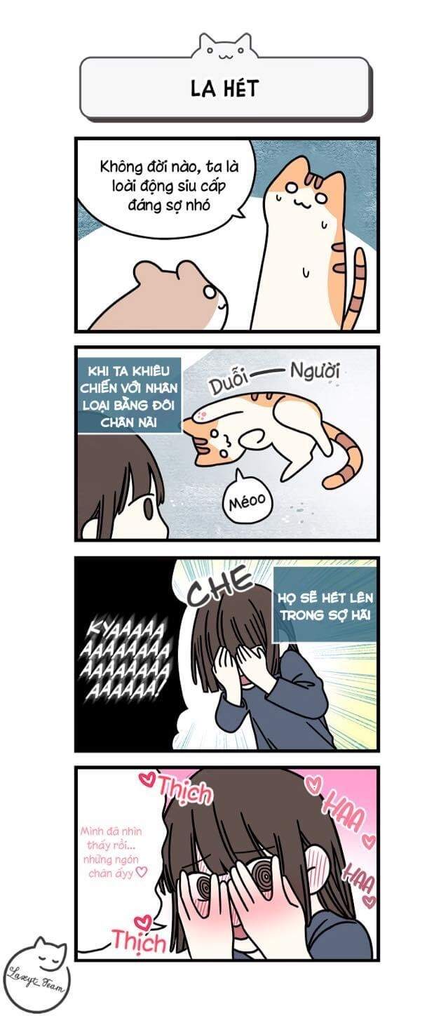 Khi Loài Mèo Làm Bá Chủ Thế Giới Chapter 1 - 7