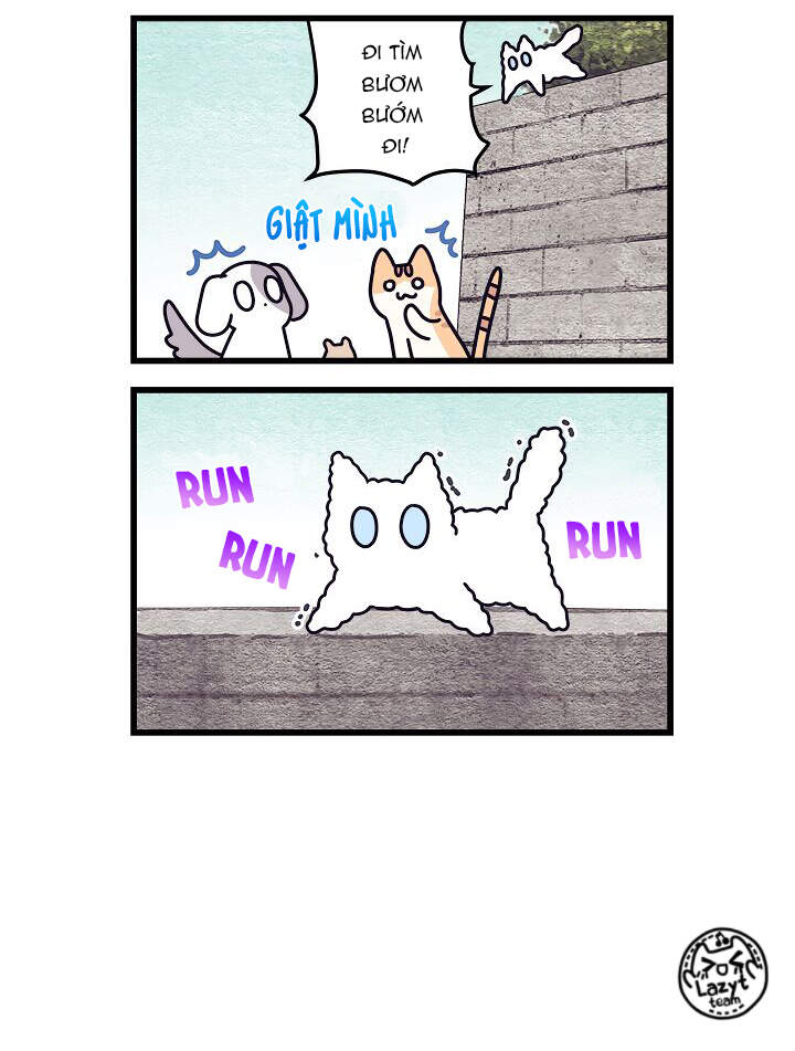 Khi Loài Mèo Làm Bá Chủ Thế Giới Chapter 3 - 10