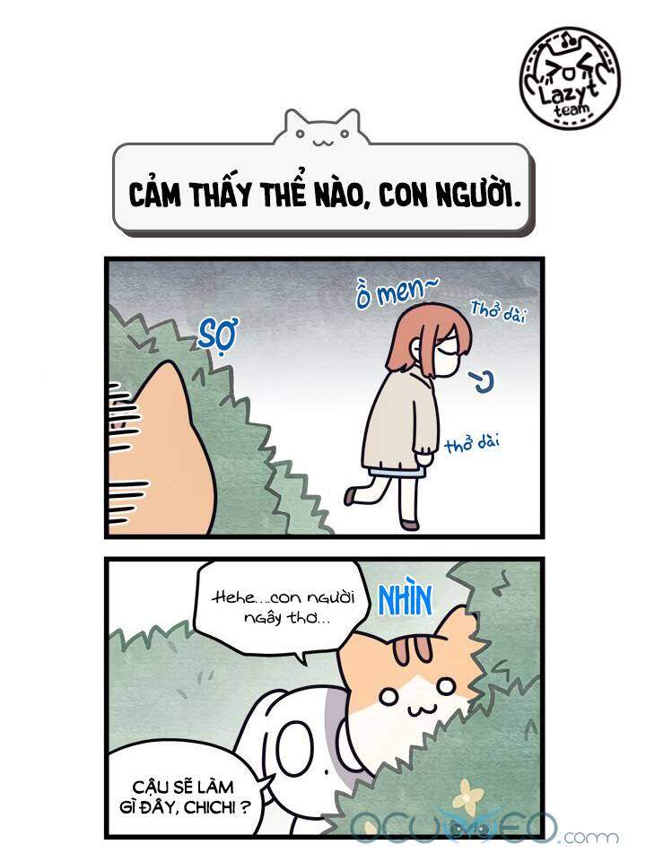 Khi Loài Mèo Làm Bá Chủ Thế Giới Chapter 7 - 5