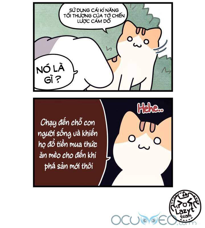 Khi Loài Mèo Làm Bá Chủ Thế Giới Chapter 7 - 6