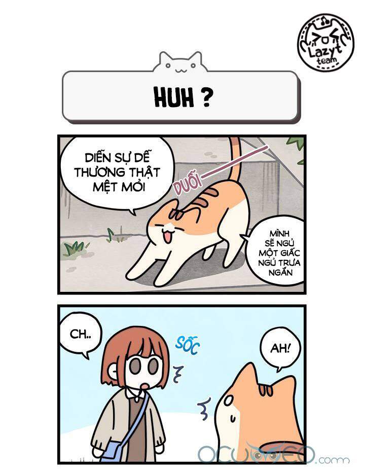 Khi Loài Mèo Làm Bá Chủ Thế Giới Chapter 7 - 9