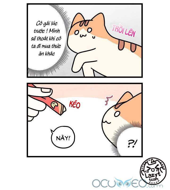 Khi Loài Mèo Làm Bá Chủ Thế Giới Chapter 7 - 10