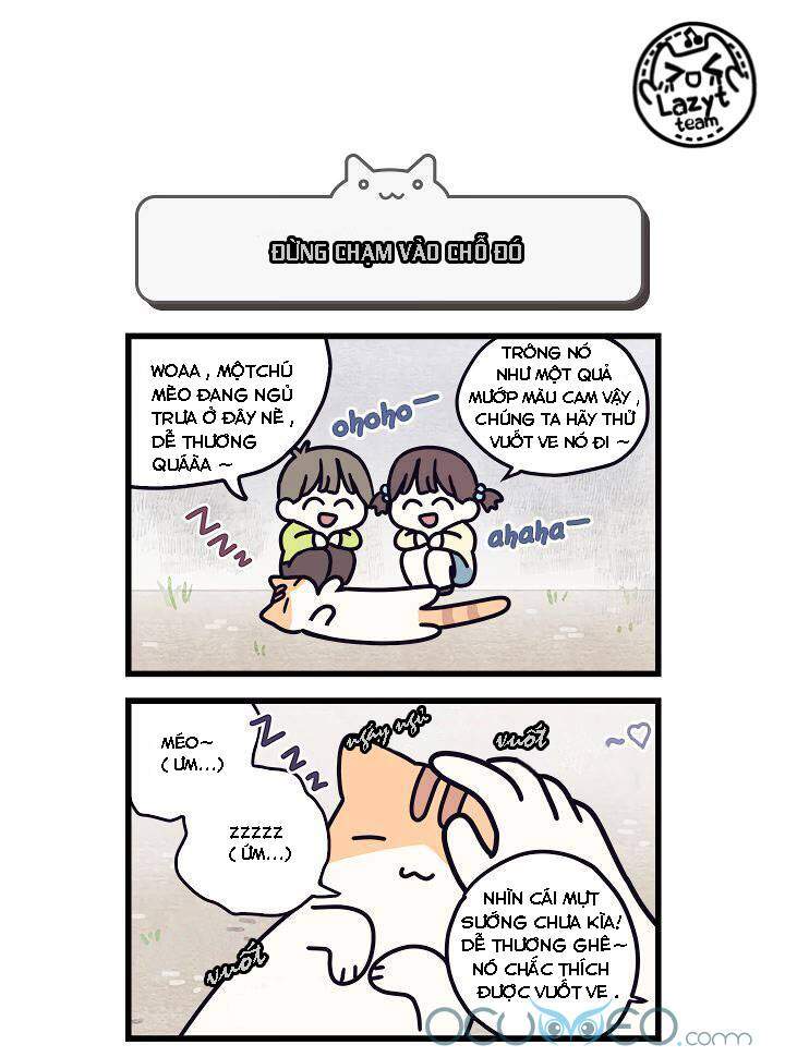 Khi Loài Mèo Làm Bá Chủ Thế Giới Chapter 5 - 2