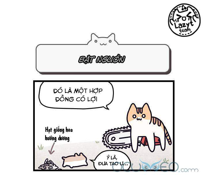 Khi Loài Mèo Làm Bá Chủ Thế Giới Chapter 5 - 8