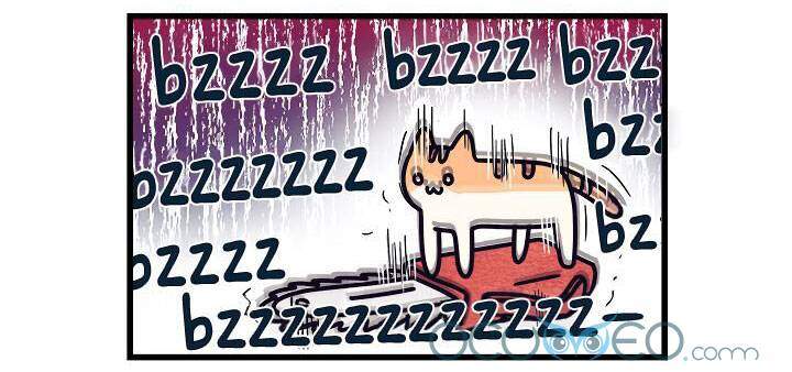 Khi Loài Mèo Làm Bá Chủ Thế Giới Chapter 5 - 10