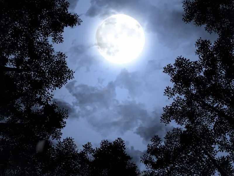 Thiên Ma Thần Quyết: Trùng Sinh Chapter 43.5 - 148