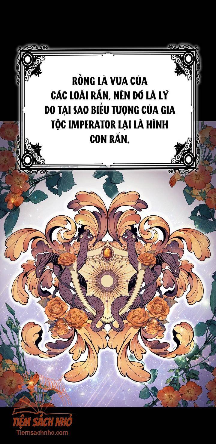 Tôi Chỉ Đi Tìm Cha Thôi Chapter 39 - 82