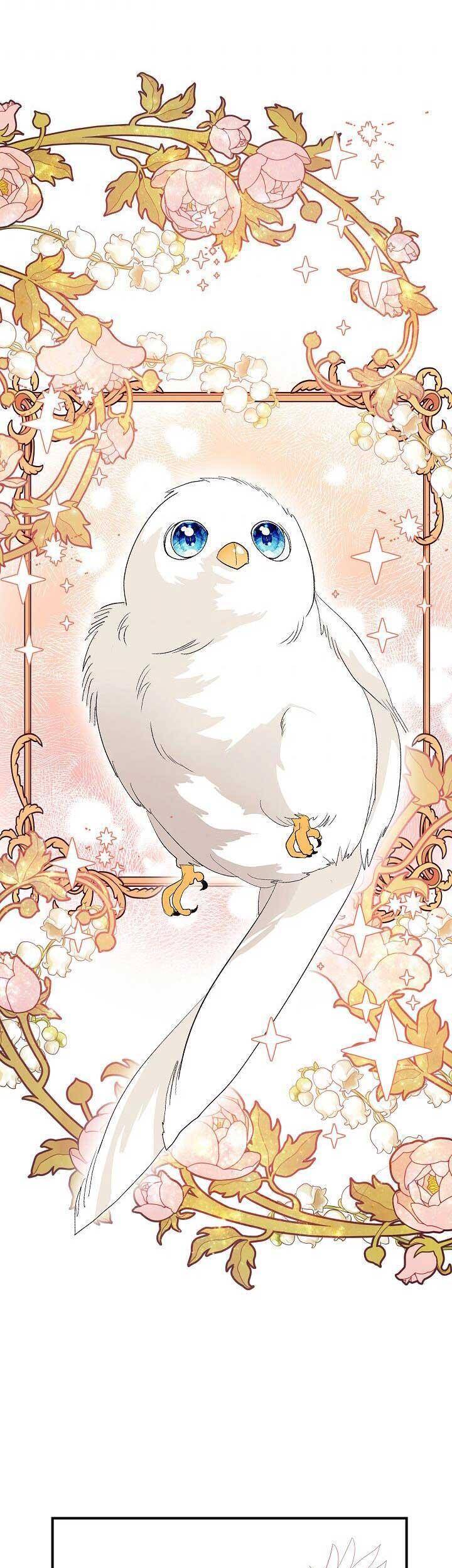 Tôi Chỉ Đi Tìm Cha Thôi Chapter 55 - 54