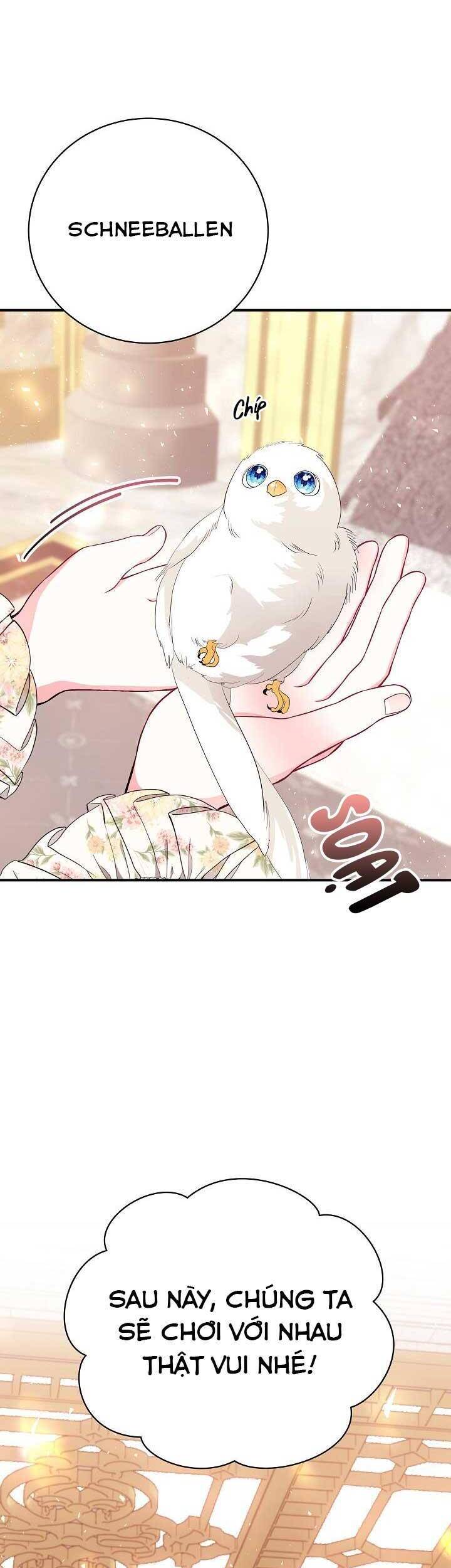 Tôi Chỉ Đi Tìm Cha Thôi Chapter 55 - 60