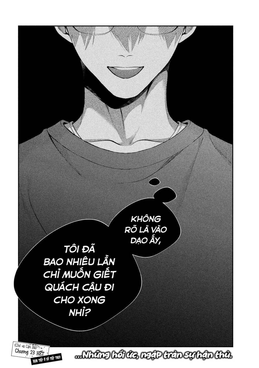 Chó Và Cặn Bã Chapter 23 - 17