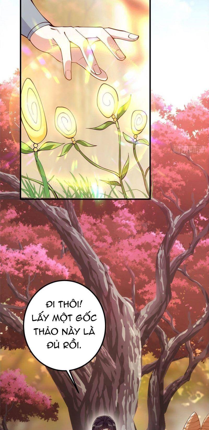 Chưởng Môn Khiêm Tốn Chút Chapter 6 - 5