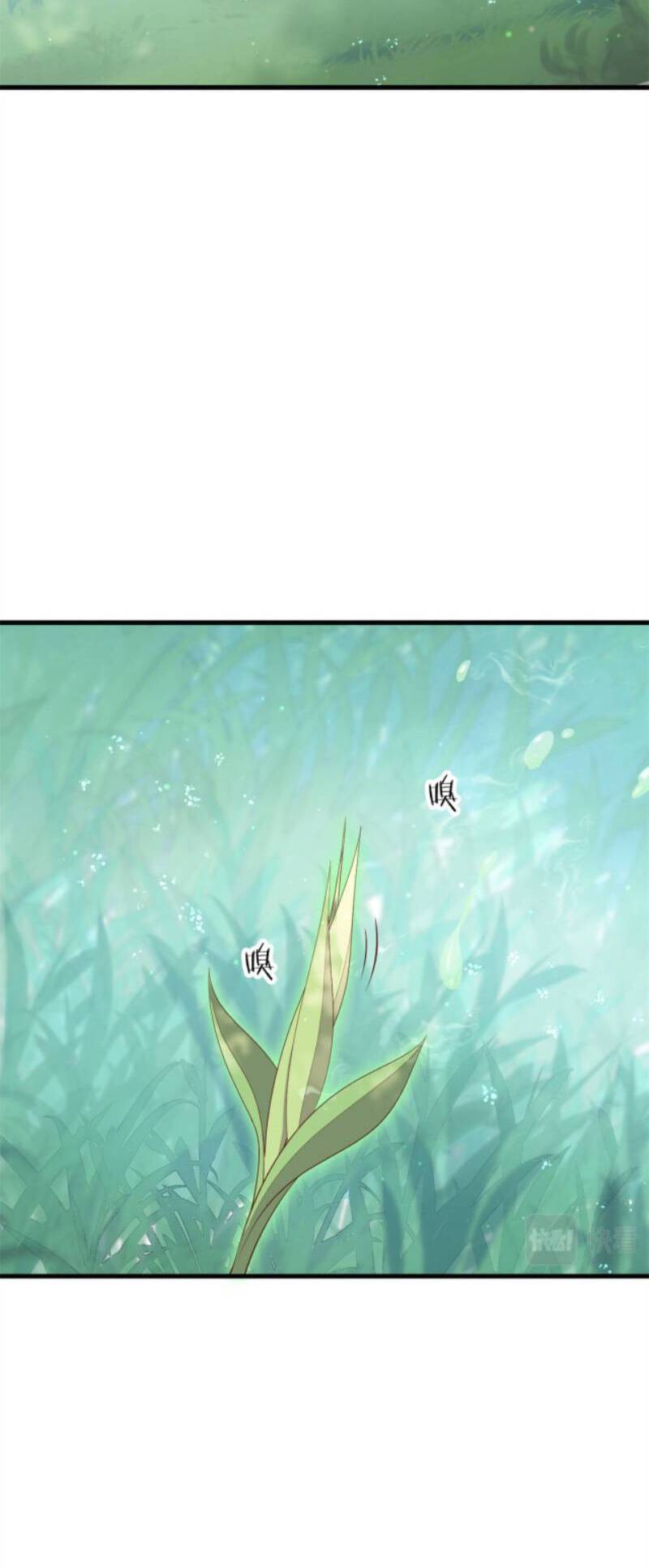 Nữ Phụ Không Thể Chọc Giận Chapter 50 - 5