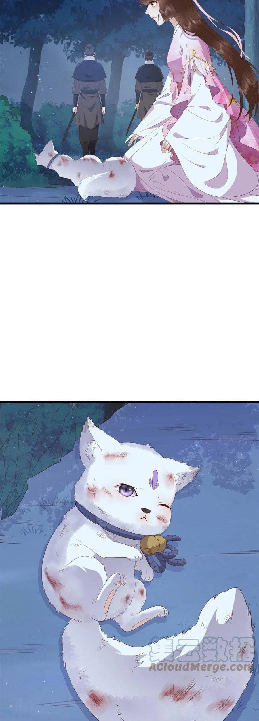 Nữ Phụ Không Thể Chọc Giận Chapter 86 - 11