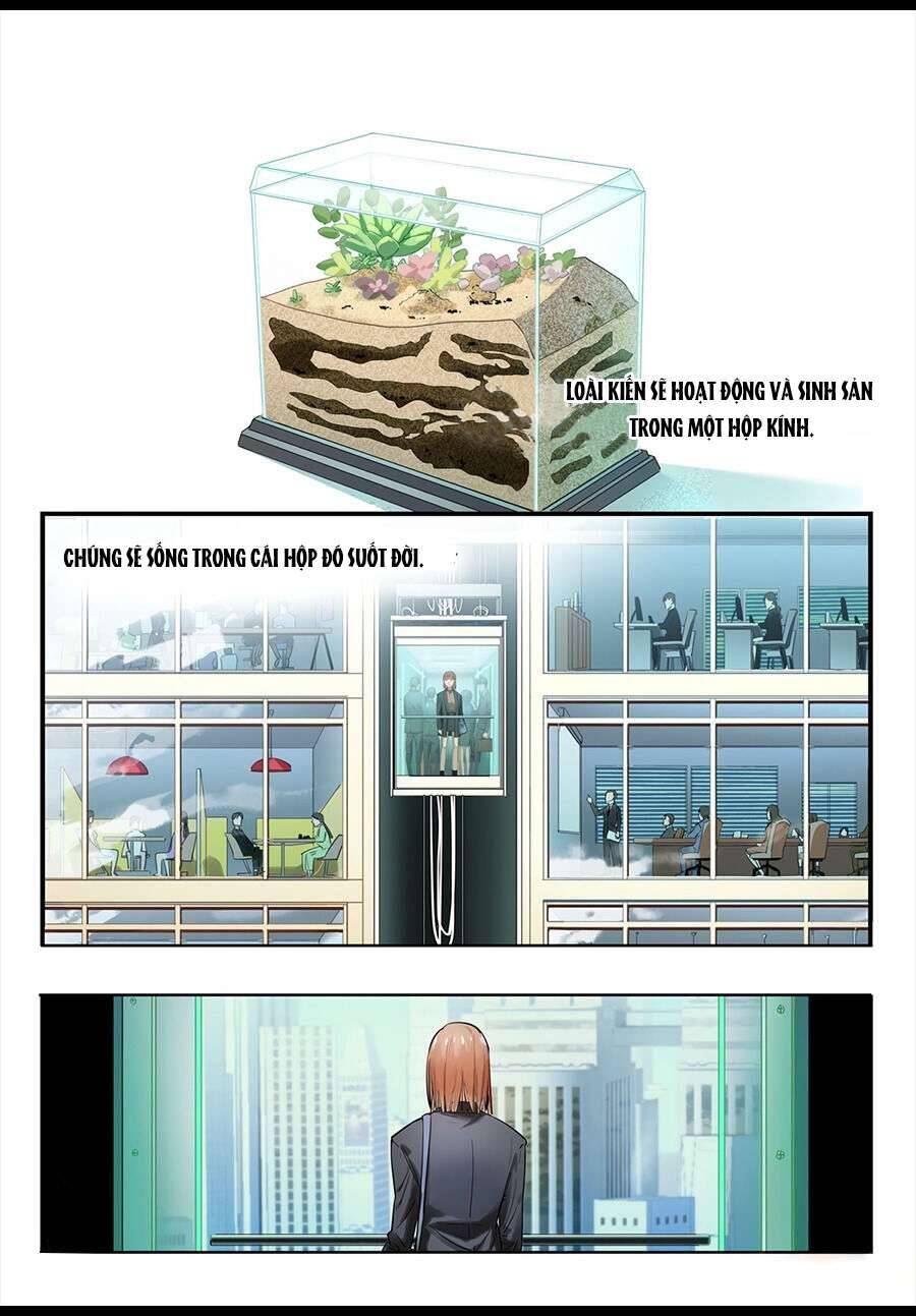 Chết Vì Chán Chapter 3 - 13