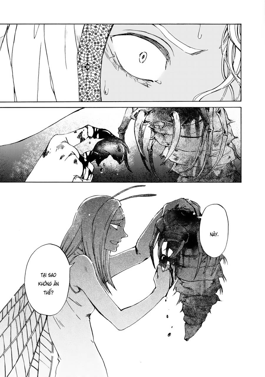 Đế Quốc Kiến Chapter 13 - 6