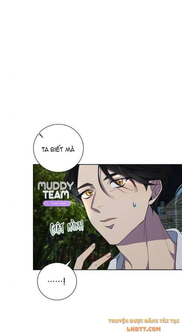 Ta Đã Từng Mong Nàng Biến Mất Chapter 28 - 28