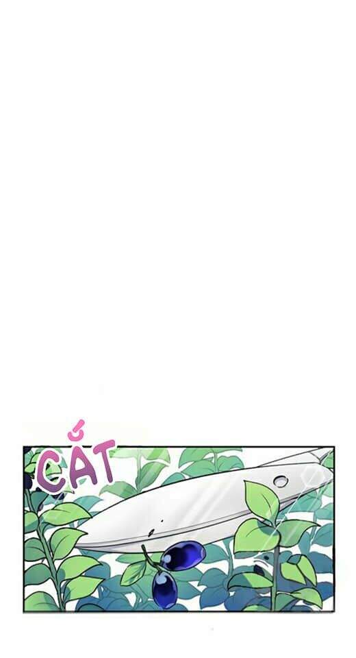 Nữ Công Tước Với Tâm Hồn Trống Rỗng Chapter 4 - 31