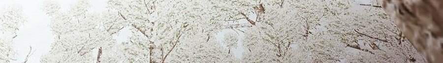 Thiên Võ Chiến Thần Chapter 27 - 48