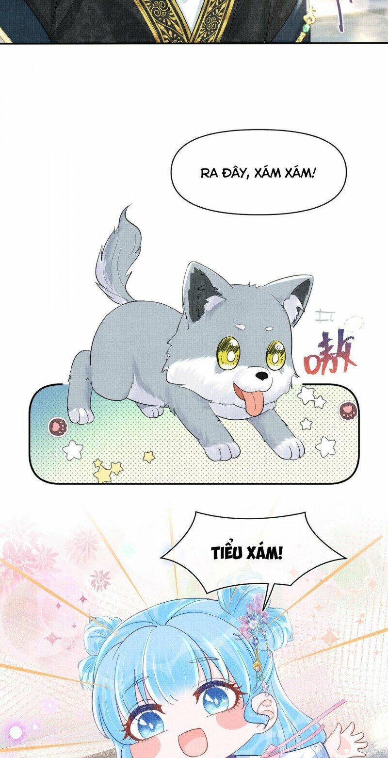 Nhóc Con Người Cá 3 Tuổi Rồi Chapter 250 - 4