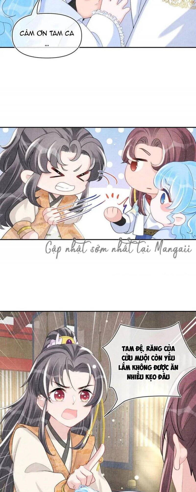 Nhóc Con Người Cá 3 Tuổi Rồi Chapter 199 - 7