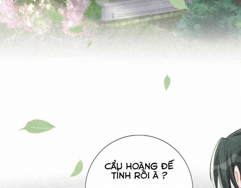 Nhóc Con Người Cá 3 Tuổi Rồi Chapter 202 - 35