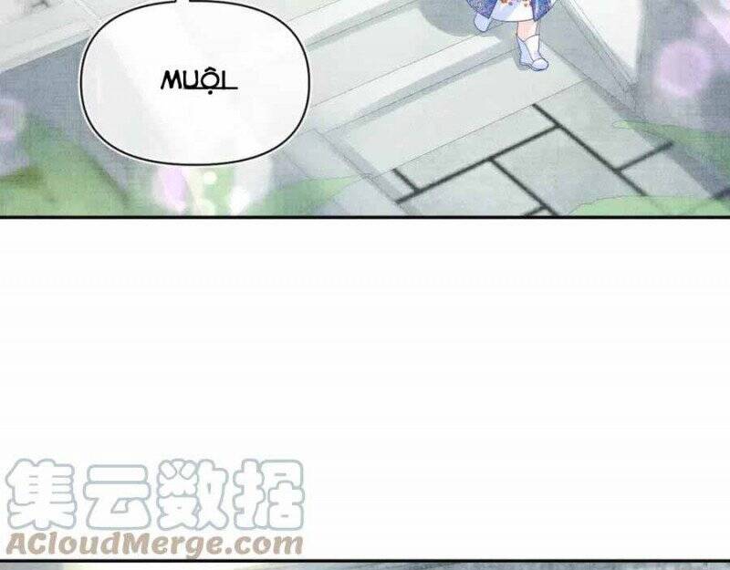 Nhóc Con Người Cá 3 Tuổi Rồi Chapter 205 - 8