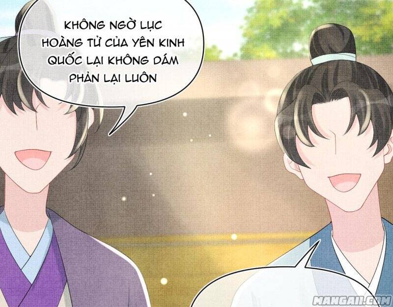 Nhóc Con Người Cá 3 Tuổi Rồi Chapter 213 - 13