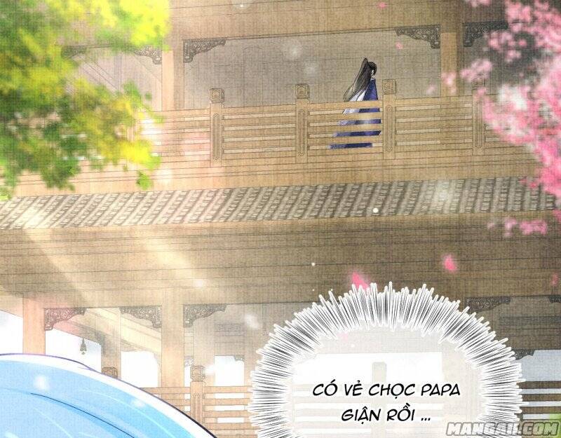 Nhóc Con Người Cá 3 Tuổi Rồi Chapter 214 - 3