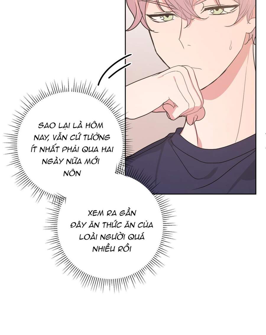 Cẩn Thận Bị Mộng Ma Ăn Mất Đó! Chapter 27 - 53