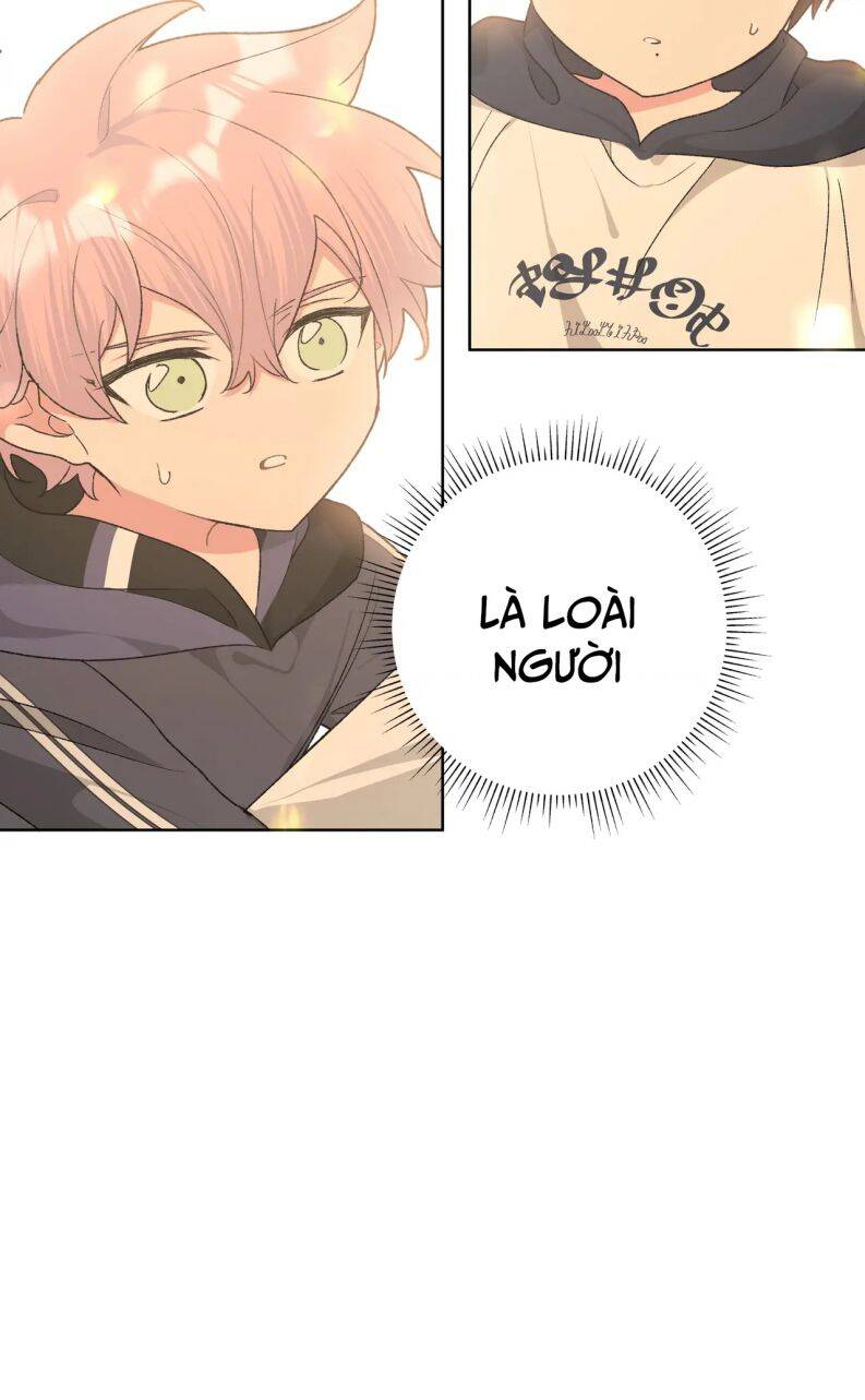 Cẩn Thận Bị Mộng Ma Ăn Mất Đó! Chapter 80 - 57