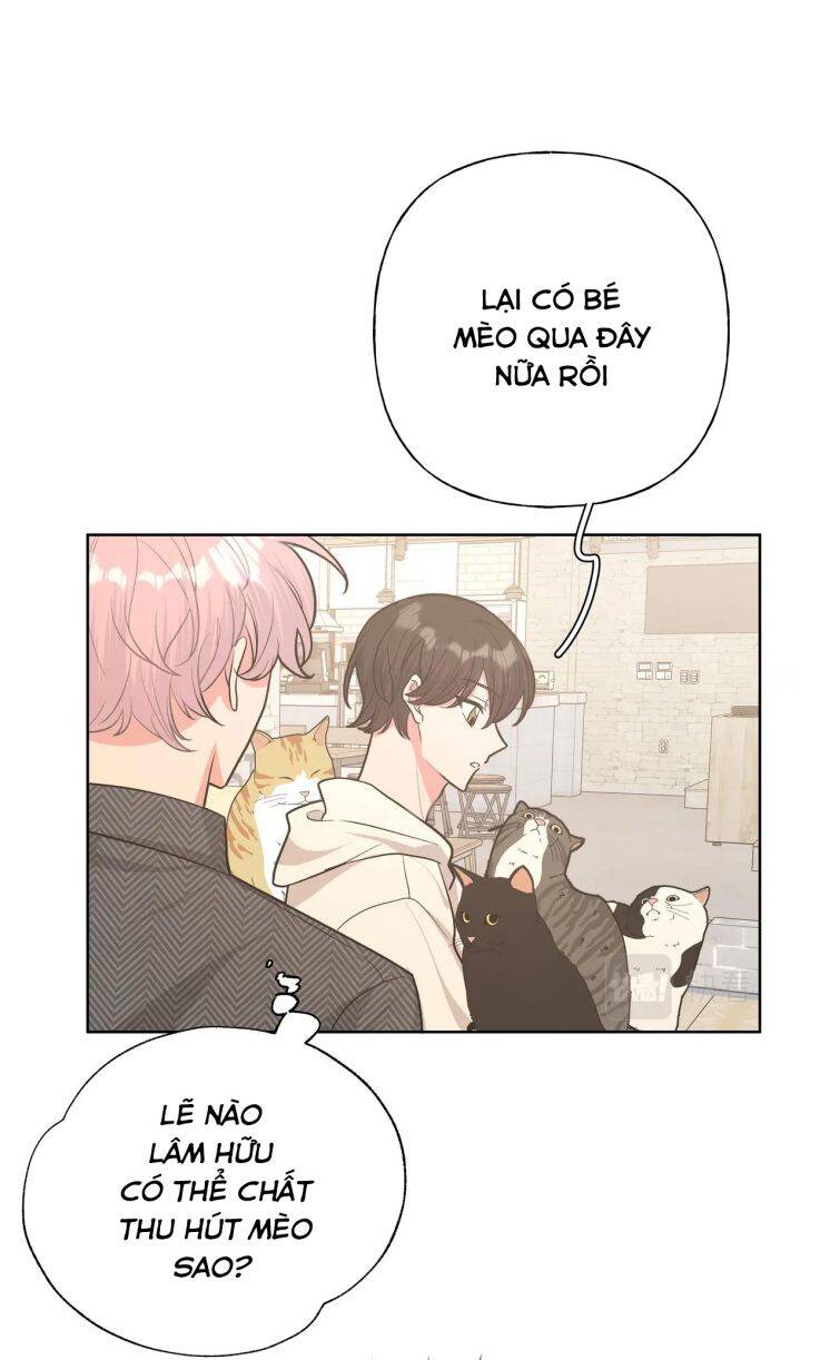 Cẩn Thận Bị Mộng Ma Ăn Mất Đó! Chapter 64 - 11