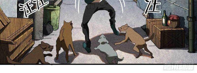 Thương Thiên Tại Hạ Chapter 13 - 36