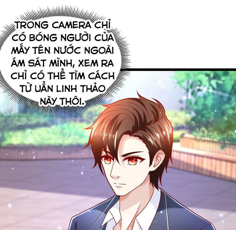 Thế Thân Thiếu Gia Không Dễ Chọc Chapter 48 - 51