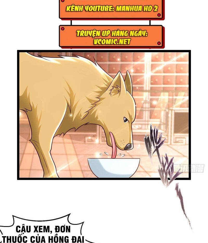Thế Thân Thiếu Gia Không Dễ Chọc Chapter 49 - 58